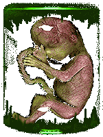 Pickled Punks, Circus Freaks, Freak Shows